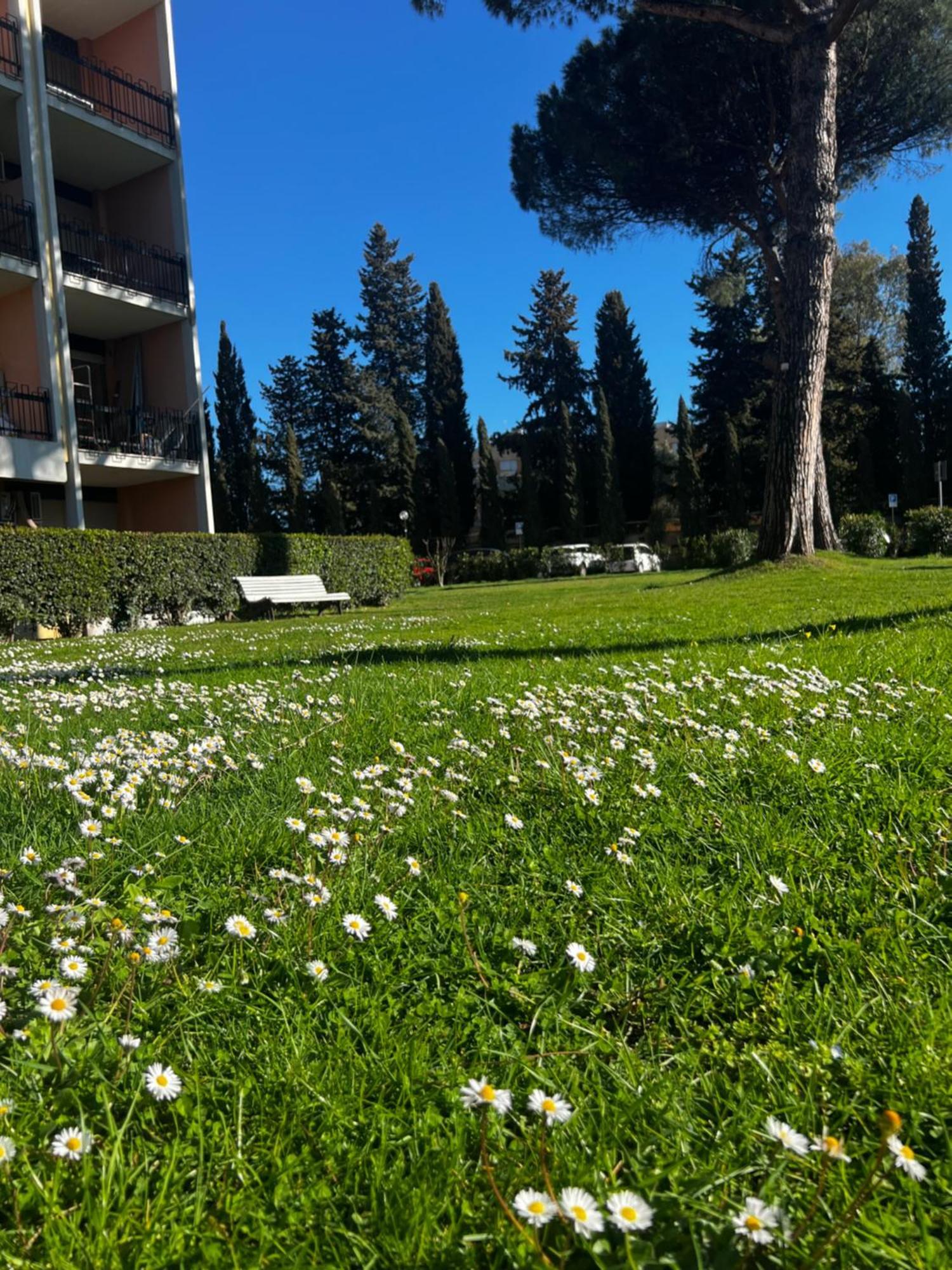 Parco Tirreno Hotel